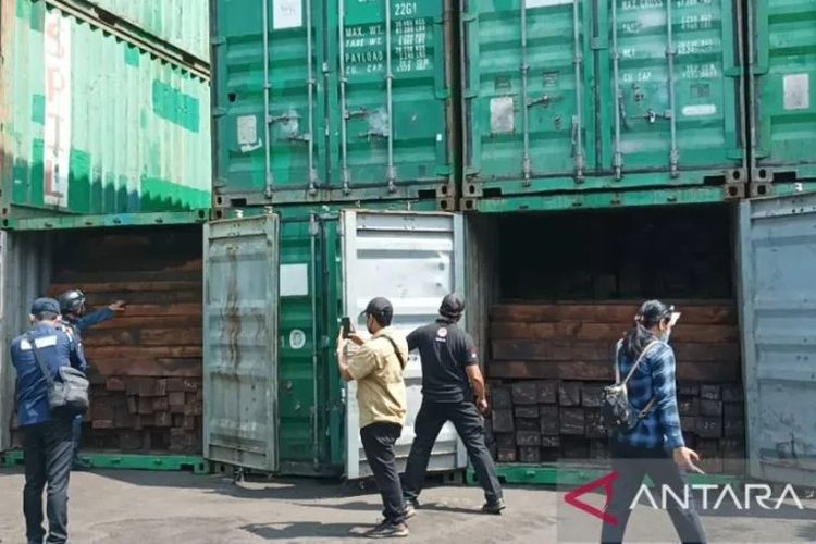 Petugas menunjukkan kayu merbau ilegal asal Papua yang diamankan Ditjen Gakkum KLHK di sebuah depo kawasan Pelabuhan Tanjung Perak Surabaya, Kamis (15/12/2022). ANTARA/Hanif Nashrullah