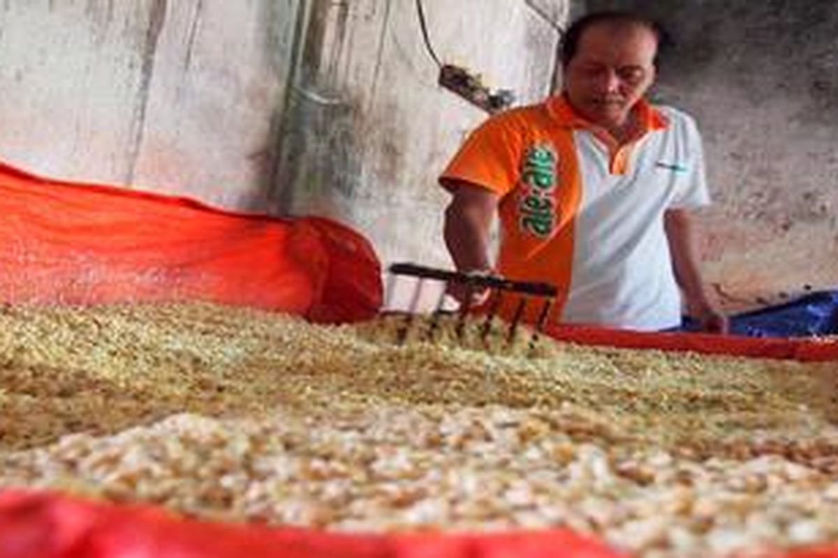 Hasan Makruf, perajin tempe di Desa Sekarkurung, Kecamatan Kebomas, Kabupaten Gresik, Jawa Timur, Selasa (24/7/2012) meratakan tempe yang sudah diberi ragi, Setiap hari ia mengolah 115 kilogram kedelai untuk dibuat tempe, tetapi dengan melonjaknya harga tempe hingga Rp 7.500 per kilogram keuntungan yang hilang per hari mencapai Rp 200.000.  