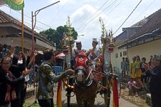 Kala Ritual Puter Kayun Jadi Indikator Punahnya Profesi Kusir Delman di Banyuwangi