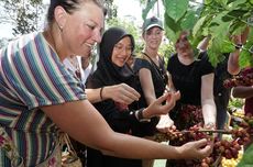 Produksi Capai 10.600 Ton, Pemkab Banyuwangi Promosikan Kopi Lewat Festival 