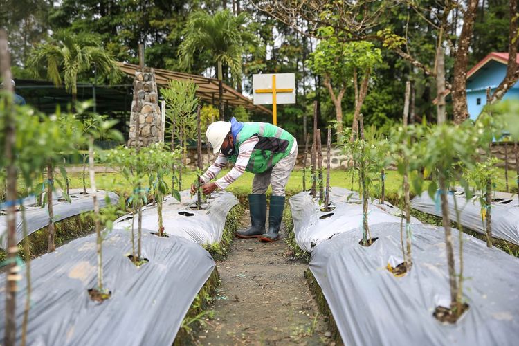 Program pemberdayaan yang terintegrasi dengan rantai pasok operasional Grup MIND ID,