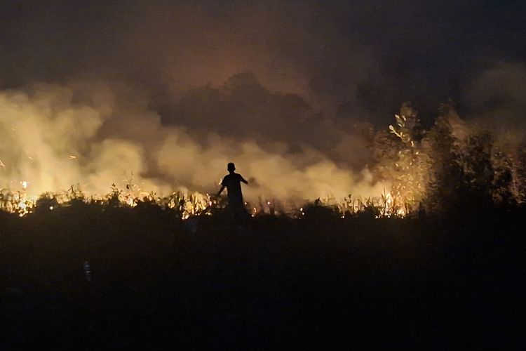 House Member: Forest Fires Ongoing for Three Months, Declare a National Disaster Immediately