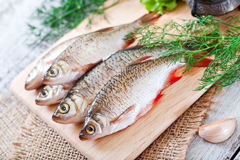 Cara Pilih Ikan, Cumi-cumi, dan Seafood Lain yang Segar 