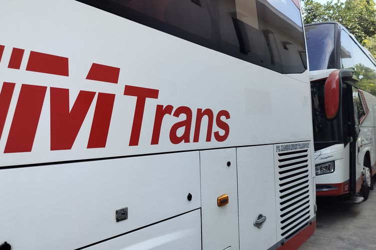 MTrans Pecat Kru Bus yang Diduga Lecehkan Penumpang Saat Perjalanan Malang-Denpasar