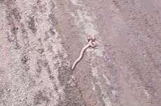 Tim Medis Unair Tiba di Aceh Tamiang, Tak Ada Satupun Faskes yang Bisa Dimanfaatkan