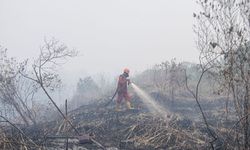 13 Juta Hektare Lahan Gambut Rusak, 190 Kali Luas DKI Jakarta