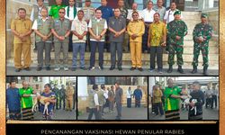 Kabupaten Ende Capai Status Darurat Rabies, Pemkab Ende Lakukan Langkah Ini