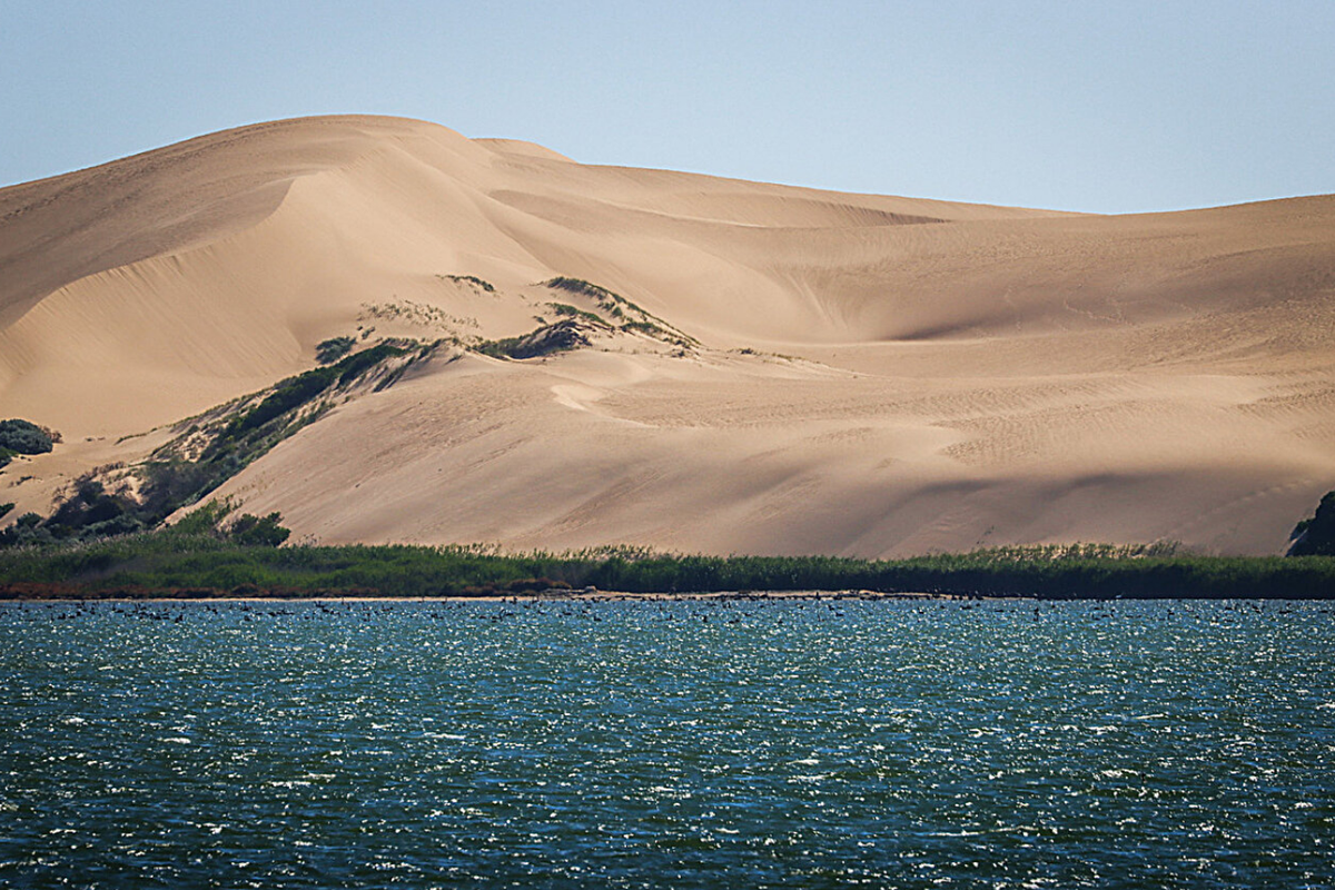 Sebuah laguna pesisir di Australia Selatan