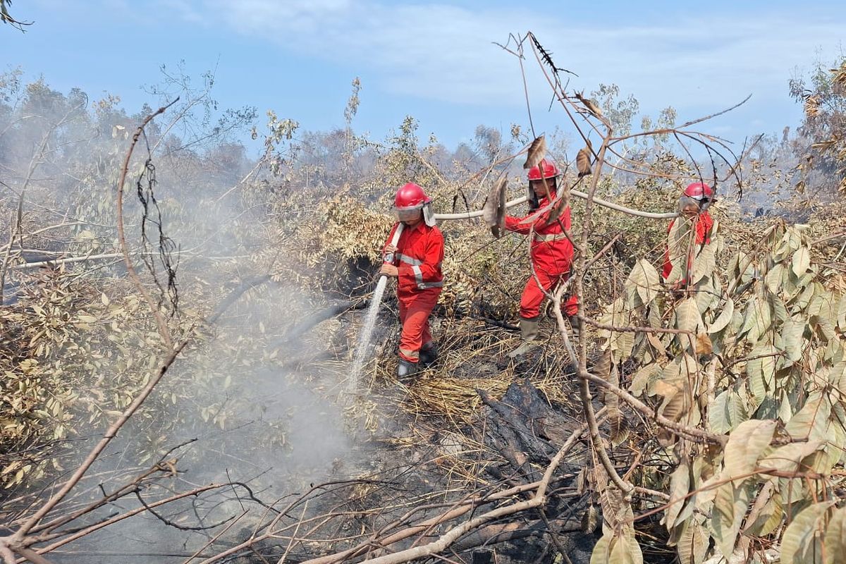 Kondisi kebakaran lahan yang berada di Sungai Rotan, Kabupaten Muara Enim, Sumatera Selatan masih dalam proses pemadaman, Selasa (24/9/2024). Akibat keakaran tersebut, bau asap pun menyengat hingga ke Palembang.