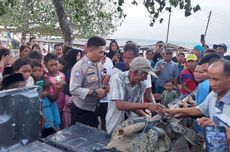 Nelayan Lombok Tangkap Buaya yang Berjemur di Keramba Udang 