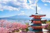 Waktu Terbaik ke Jepang, Bisa Lihat Sakura