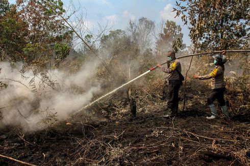 BNPB Prediksi Maret dan Juni Bakal Terjadi Kebakaran Hutan di Riau