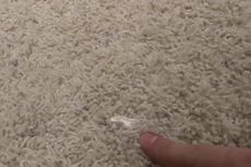 3 Cara Mudah Menghilangkan Permen Karet dari Karpet