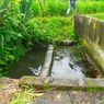 Hendak Pergi ke Sawah, Warga Lombok Timur Temukan Mayat Mengapung di Telaga