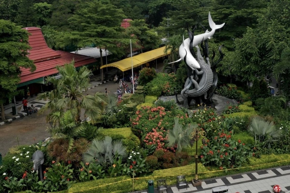 Kebun Binatang Surabaya (KBS), Sabtu (11/10/2025). Ramai pemberitaan soal gajah kecil ditunggangi di KBS. 