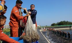 Sebanyak 2,3 Ton Udang Hasil Budidaya Politeknik Kementerian KP Diserap Pasar