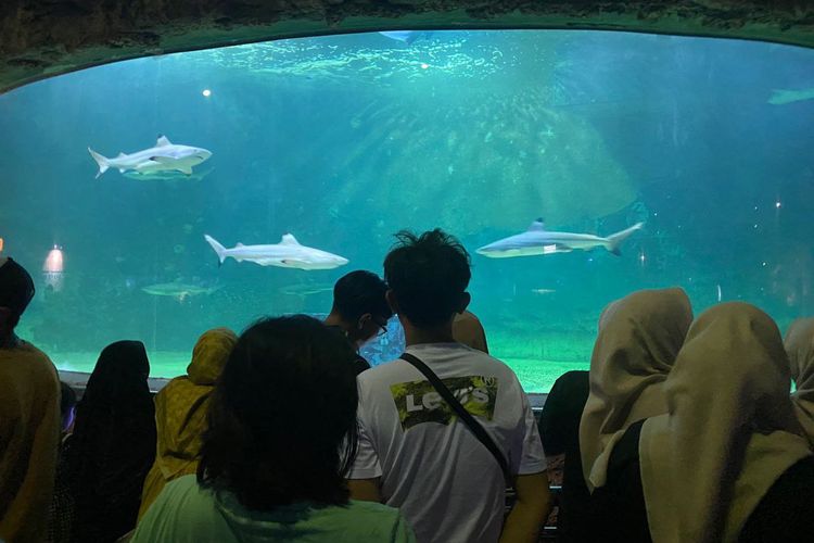 Suasana di tempat rekreasi Sea World di Ancol, Jakarta Utara, Selasa (27/6/2023) saat libur panjang sekolah.