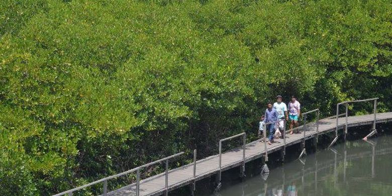 Ekowisata Mangrove Penajam adalah salah satu destinasi yang menarik untuk dikunjungi saat berkunjung ke Kalimantan Timur.