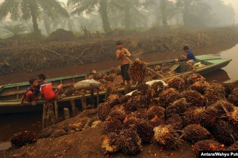  Indonesia Steps Up Palm Oil Sludge Exports to Malaysia