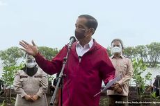 Tanam Mangrove di Riau, Jokowi: Untuk Kendalikan Abrasi