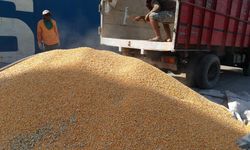 Ekspor Komoditas Pertanian Meningkat Sepanjang April 2018 