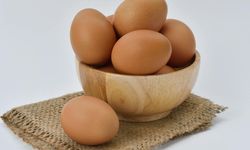 Telur Ayam Umbaran vs Telur dalam Kandang: Mana Lebih Ramah Iklim?