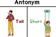 Antonim dalam Bahasa Inggris: Pengertian, Jenis, dan Contohnya