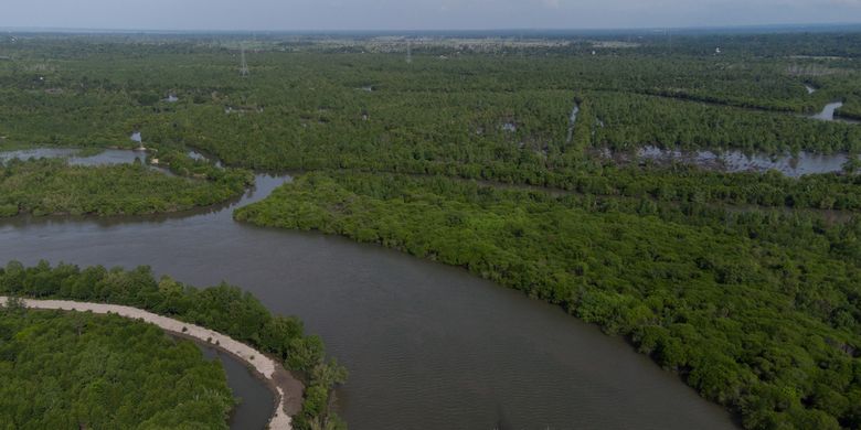 Hutan bakau yang tersisa di Pangkalan Susu, Sumatera Utara. Sebahagian besar sudah ditebas menjadi tempat budi daya lobster dan kini berubah menjadi kebun kelapa sawit dan pengololaan pribadi berkedok pariwisata mangrove. Binsar Bakkara