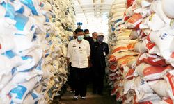 Mentan SYL Pastikan Ketersediaan Pupuk Subsidi di Indonesia Aman