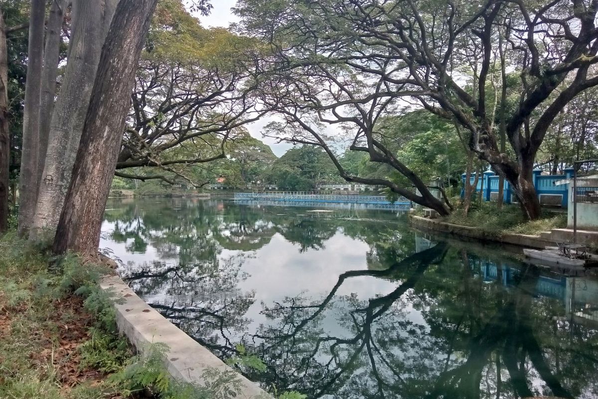 Danau Ronggojalu