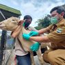 Rentan Terpapar PMK, Domba Spanyol hingga Gajah di Lembang Park Zoo Divaksin