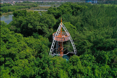 Panduan Wisata Kebun Raya Mangrove Surabaya 