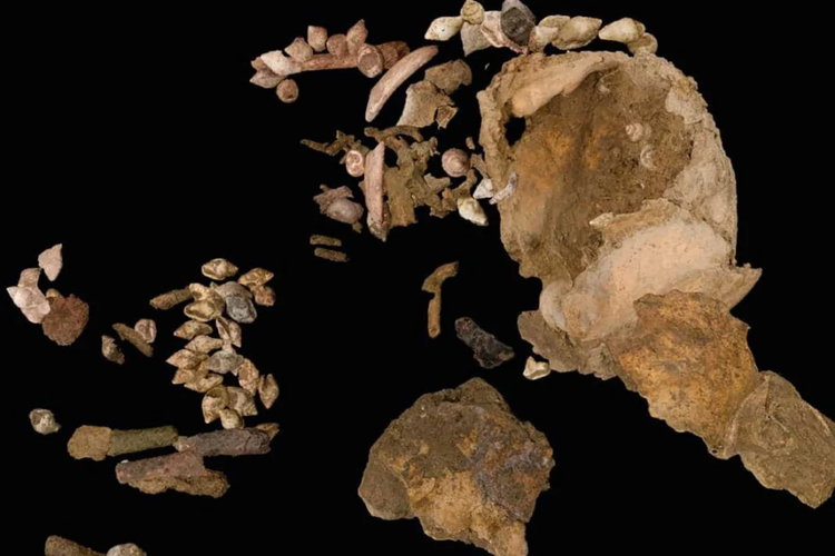 Sisa-sisa tulang Neve, bayi perempuan berusia 10.000 tahun yang ditemukan di Italia. Kuburan bayi perempuan tertua di Eropa itu berada di Gua Arma Veirana, di barat laut Italia.