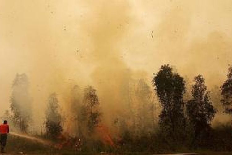 Petugas pemadam kebakaran memadamkan api di lahan milik warga di Tumbang Nusa, Kabupaten Pulang Pisau, Kalimantan Tengah, Senin (26/10). Dua bulan lebih, hutan dan lahan di provinsi ini masih terbakar dan menghasilkan asap pekat yang mengancam keselamatan makhluk hidup. 