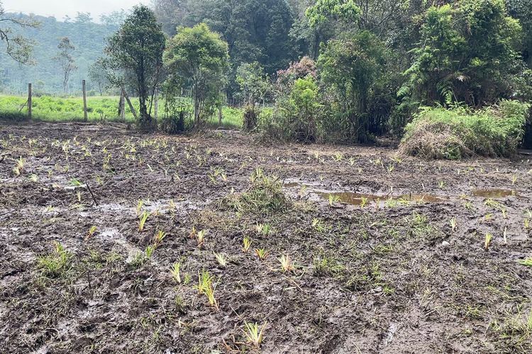 Terkait Izin penyelenggara event motor trail yang rusak kawasan Savana Edelweis Rawa di Kampung Cau Ranca Upas, Kecamatan Rancabali, Kabupaten Bandung, Jawa Barat pihak pengelola mengaku telah mengarahkan panitia penyelenggara agar menempuh perizinan dari pelbagai elemen.