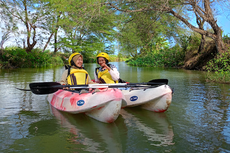 Kapan Waktu Terbaik Naik Kano Mangrove Baros Yogyakarta?