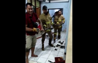 EVAKUASI--Tim Damkar Pemkab Wonogiri berhasil mengevakuasi ular sanca kembang sepanjang 4,5 dari dalam saluran air di Rumjab Dinas Bupati Wonogiri, Minggu (30/4/2023). 