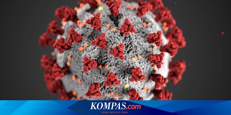 UPDATE 8 September 2021: 95 Kasus Baru Covid-19 di Depok, 9 Pasien Wafat - Vimarsana News