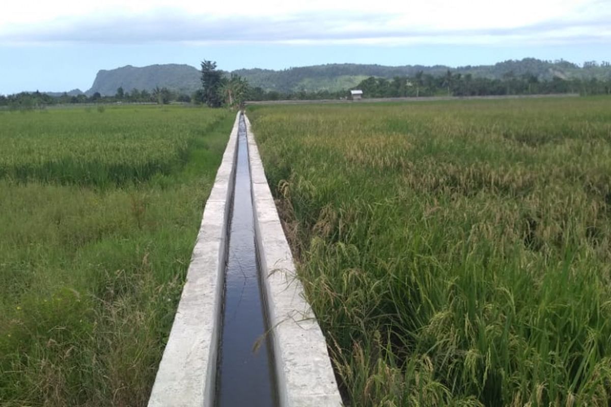 Kementerian Pertanian telah memperbaiki saluran irigasi di Kelompok Tani Jaya di Kelurahan Koya Barat, Distrik Muara Tami, Kota Jayapura, Provinsi Papua.