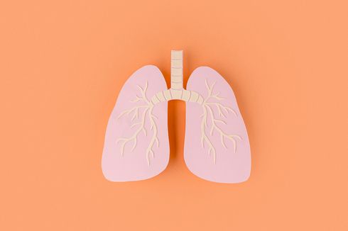 5 Penyebab Fibrosis Paru, Bisa dari Rokok sampai Penyakit