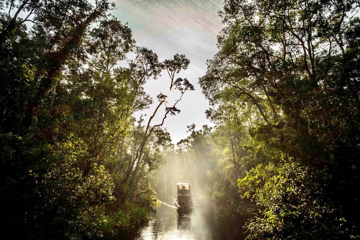 Sungai Sekonyer kawasan Taman Nasional Tanjung Puting