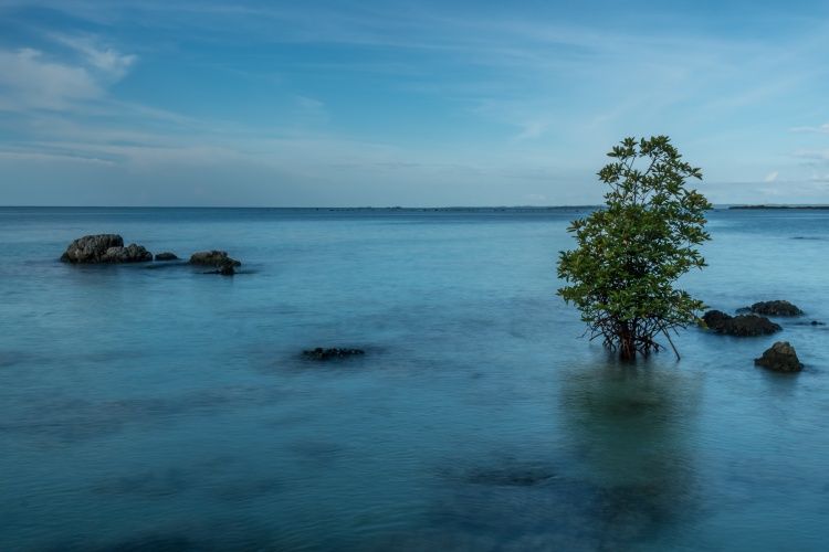 Pantai Tureloto di Nias, Sumatera Utara yang disebut-sebut sebagai Laut Mati-nya Indonesia