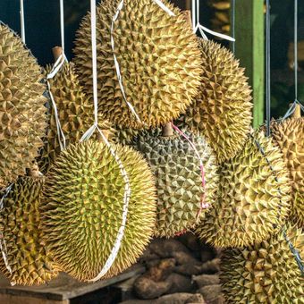 Ilustrasi durian. Durian Parigi Moutong, primadona baru pasar ekspor Internasional