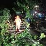 Waspada Pohon Tumbang di Pantura Demak Saat Cuaca Ekstrem