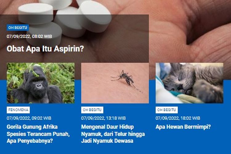 Populer Sains, obat apa itu aspirin, gorila gunung Afrika spesies terancam punah, mengenal daur hidup nyamuk, apa hewan bermimpi.