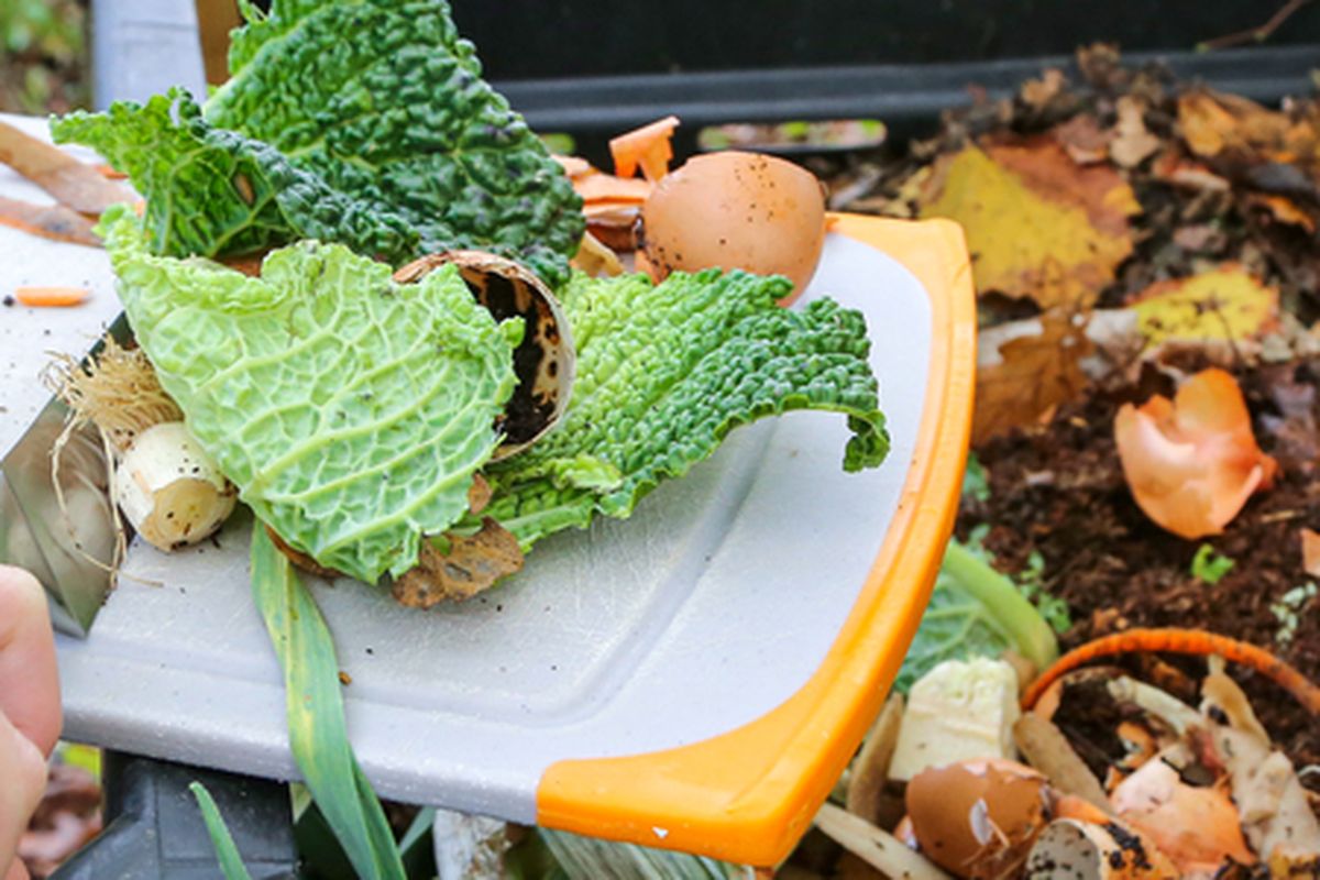 Ilustrasi kompos, ilustrasi pupuk organik dari sisa makanan dapur. 