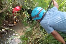 Buaya Lepas dari Penangkaran di Cianjur, Puluhan Personel "Animal Rescue" Diterjunkan