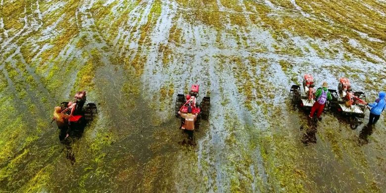 Kementan siap kembangkan lahan rawa menjadi lahan produktif di Indonesia.