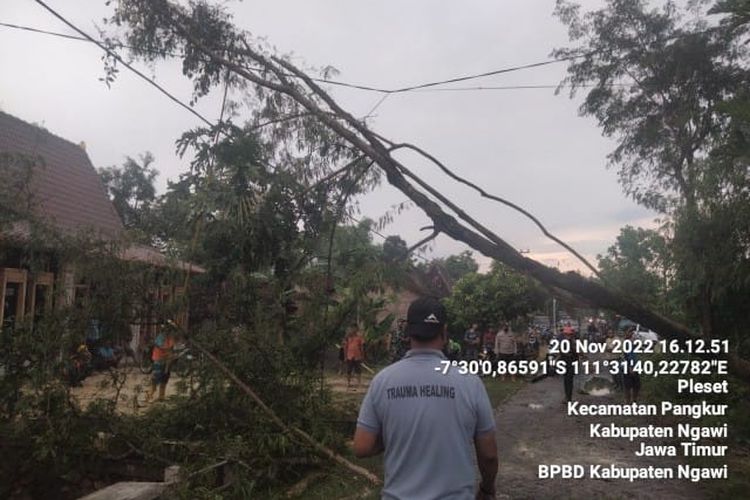 Hujan deras diseratai angin puting beliung di Kabupaten Ngawi Minggu siang merusakkan belasan atap rumah warga. Hujan disertai angin putting beliung juga menumbangkan pohon yangmengenai kabel listrik bertegangan tinggi.