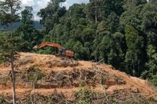 Diduga Rusak Hutan Lindung di Riau, Satu Unit Alat Berat Disita Polisi Hutan